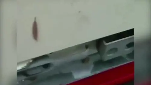 Pezzi di maiale per tenere lontani i migranti