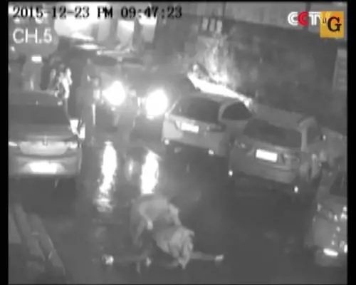 Tenta di afferrare al volo una suicida lanciatasi dall'11° piano