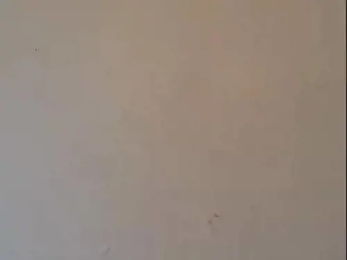 Sesso troppo rumoroso. ​La vendetta della vicina