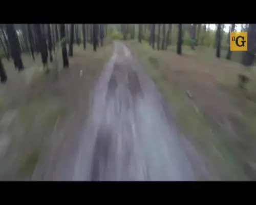 Orso grizzly insegue un ciclista
