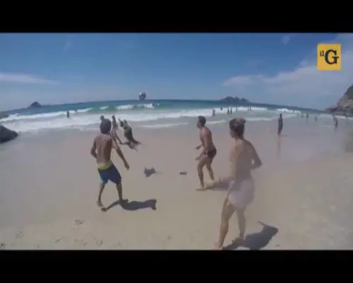 Il cane palleggiatore spopola sul web