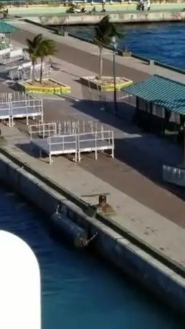 Genitori in ritardo: la nave da crociera riparte con a bordo i due figli