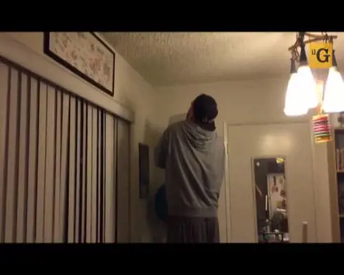 Un grillo entra in casa e semina il panico