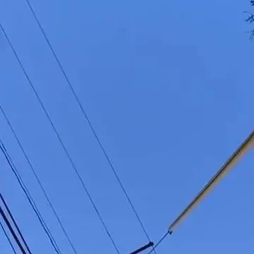 Minneapolis, il video dell'orrore