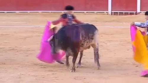 Spagna, muore un torero