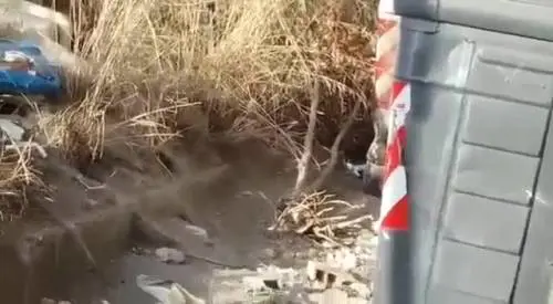 A Roma i bambini giocano a contare i topi