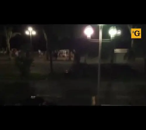 Nizza, il poliziotto eroe affianca il camion e viene ucciso