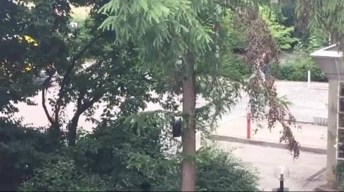 Monaco, la gente scappa