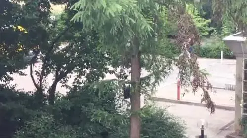 Monaco, la gente scappa