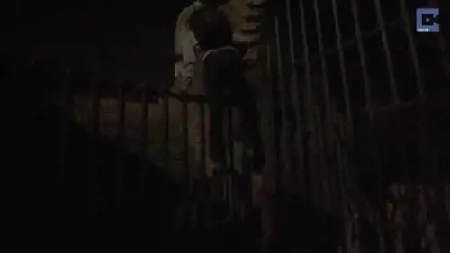 Entra di notte al Colosseo e lo scala
