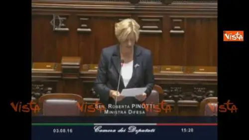 La Pinotti: "Italia darà le basi"