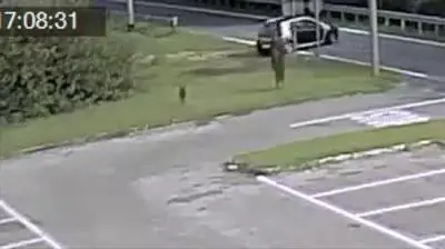 Abbandonano cane per strada, il sindaco: "Trovateli"