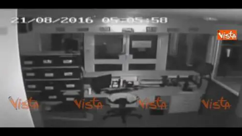 Australia, vandali liberano tre coccodrilli nella scuola