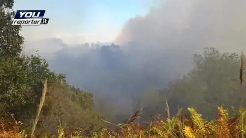 Roma, le fiamme al Parco del Pineto