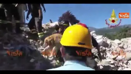 Il "miracolo" del cane Romeo, salvo dopo nove giorni sotto le macerie di Amatrice 