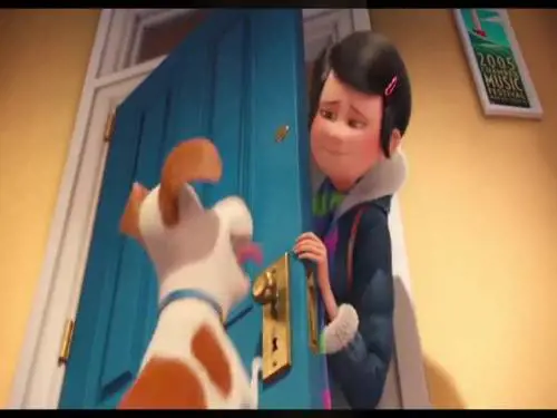Videorecensione del film "Pets-Vita da animali"