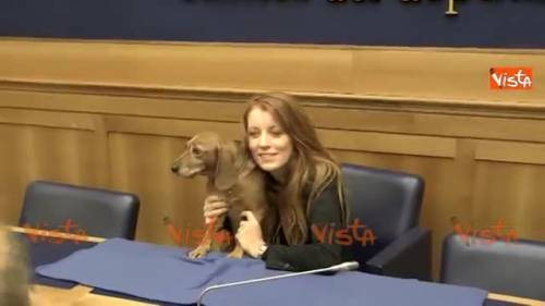 Sogno, il primo cane in Parlamento con la Brambilla
