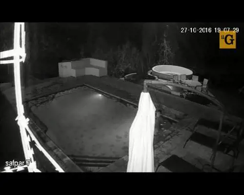 Coccodrillo attacca coppia in piscina. Lui scappa e lei viene ferita