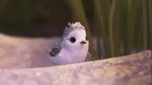 Piper, il nuovo corto della Pixar emoziona grandi e piccoli