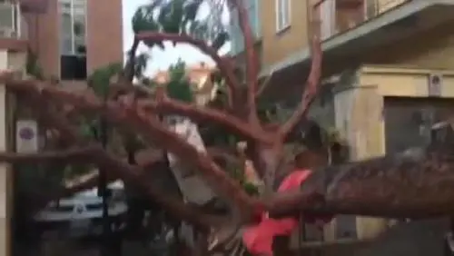 La tromba d'aria a Ladispoli