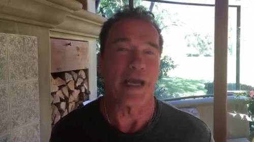 Il video messaggio di Schwarzenegger a Trump: "Torna a fare tv"