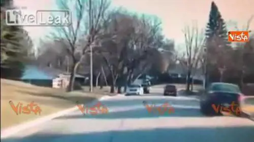 L'albero cade sulla strada, automobilista si salva per un pelo