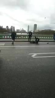 Londra, auto travolge passanti sul Westminster bridge