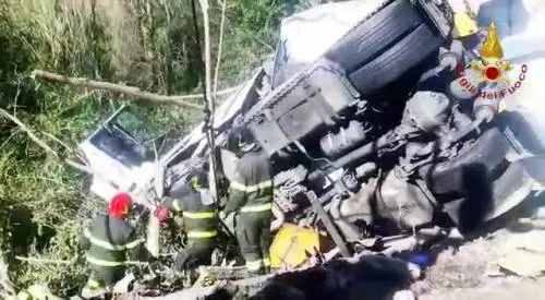 Incidente sulla A10: la rimozione degli alberi