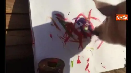 Un maiale dipinge come Picasso