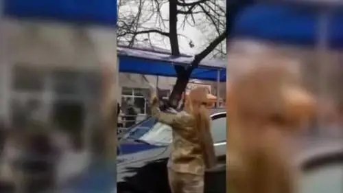 Il produttore non taglia le scene di sesso e l'attrice gli distrugge l'auto 