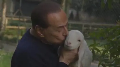 Berlusconi salva cinque agnellini dalle tavole di Pasqua