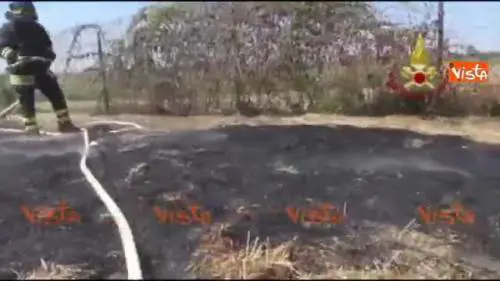 Va a fuoco la stalla, ma i vigili del fuoco salvano i pulcini