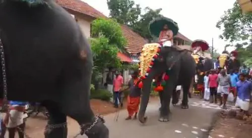 Il calcio dell'elefante durante la cerimonia religiosa