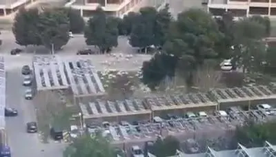 Cagliari, le pecore invadono l'ospedale