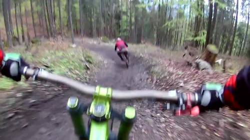 Rincorsi da un orso arrabbiato nel bosco: disavventura per due mountain bikers