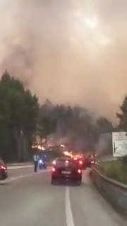 Incendio in Portogallo: le fiamme nei boschi