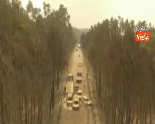 Incendio in Portogallo, le desolanti immagini del drone sulle auto bruciate in mezzo alla strada