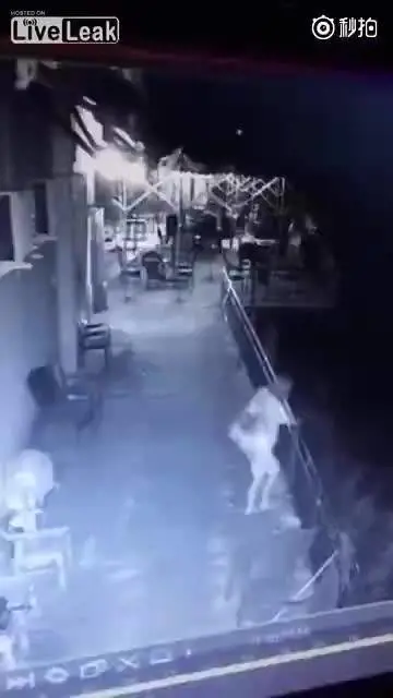 Cina, marito getta la moglie del balcone