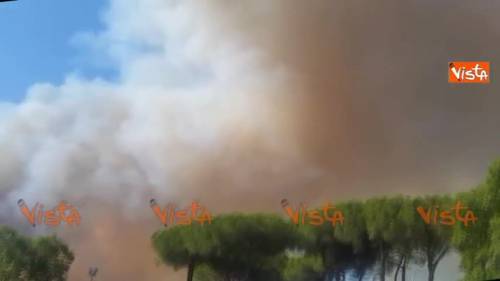 Castelfusano, fiamme sul litorale romano