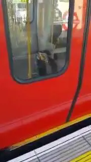 Le fiamme a bordo della metro di Londra