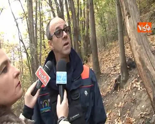 Fabbroni (AIB): "Gravissimi danni ai boschi"