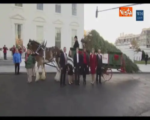 Melania Trump accoglie l'albero di Natale alla Casa Bianca