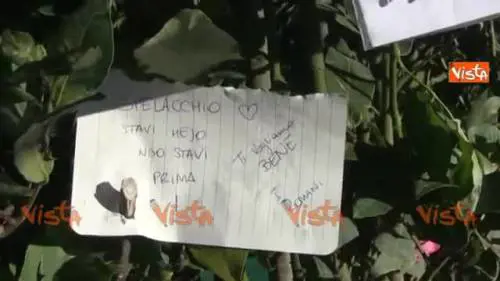 "Spelacchio riposa in pace": i messaggi dei romani sull'albero di Natale