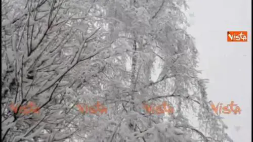 Intensa nevicata a Cortina