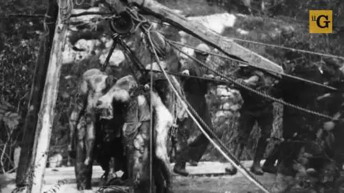 "Non abbiamo potuto fare altro che scappare"