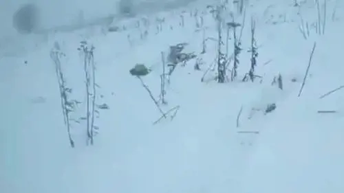 Aereo precipita a 80 km da Mosca: le immagini dei rottami