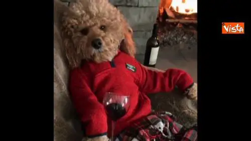 Come affrontare questi giorni di grande freddo