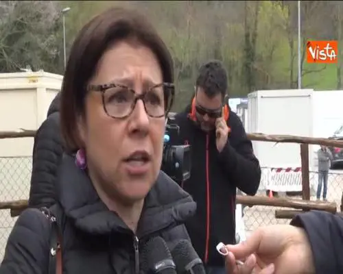 Terremoto, De Micheli rassicura i cittadini: "E' ancora possibile vivere sicuri in questi territori"