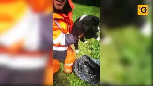 Il ritrovamento di "Acqua" cagnolina gettata da un'auto in corsa sulla tangenziale