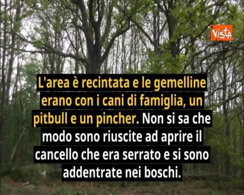 Dormivano nel bosco una vicina all'altra, ritrovate così le due gemelline di Tarcento - Infografica
